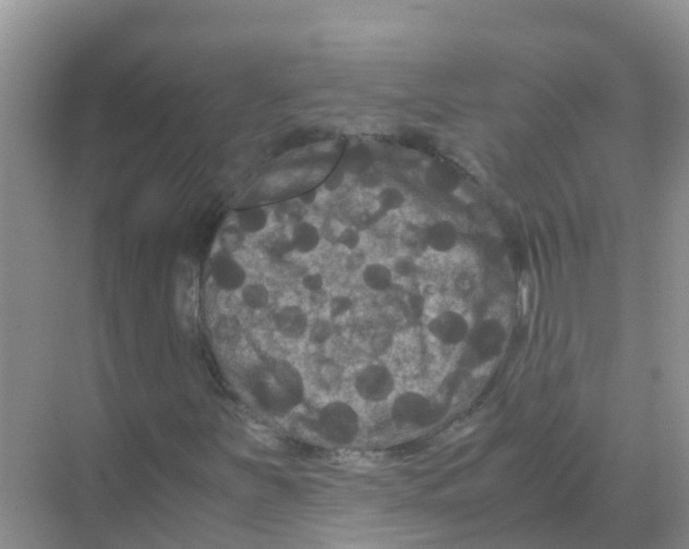 X0000070171251200606231912