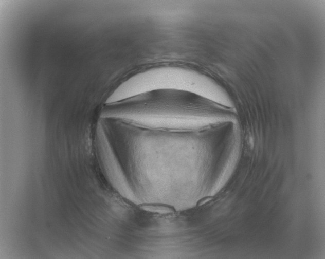 X0000070171252200606231912