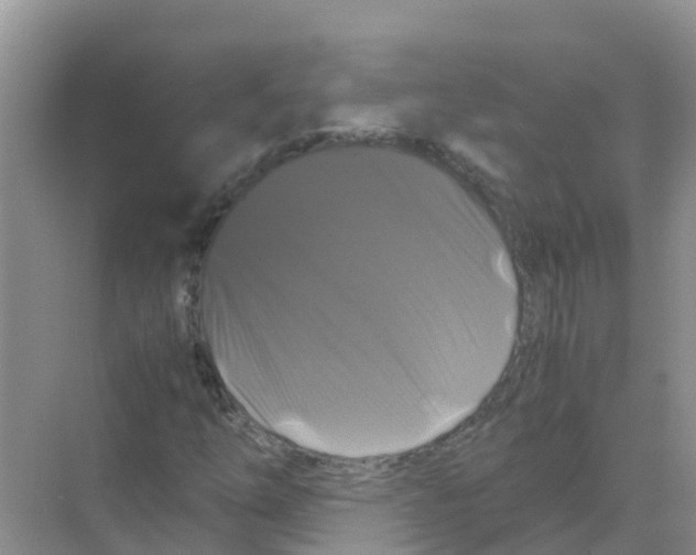 X0000070171254200606231912