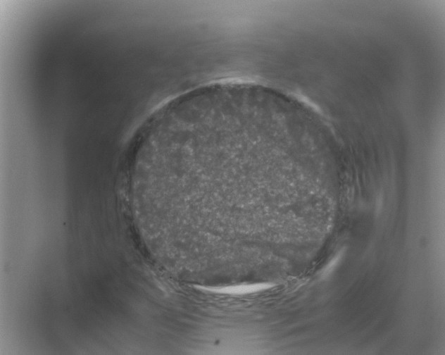 X0000070171255200606231912