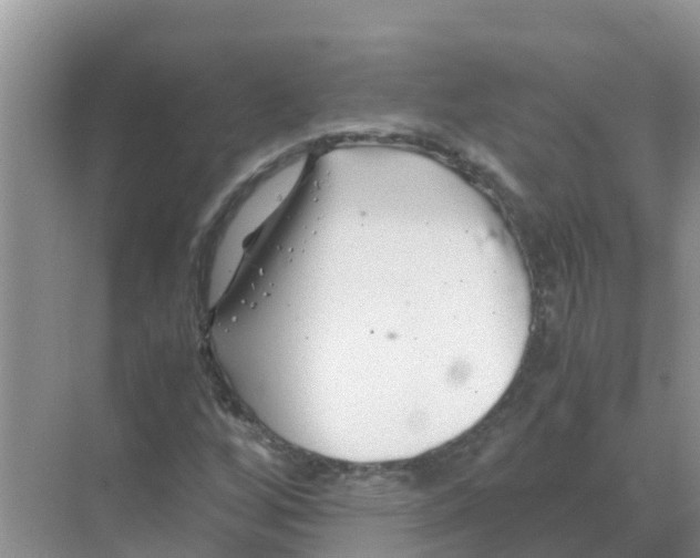 X0000070171256200606231912