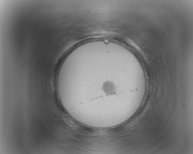 X0000070171259200606231912