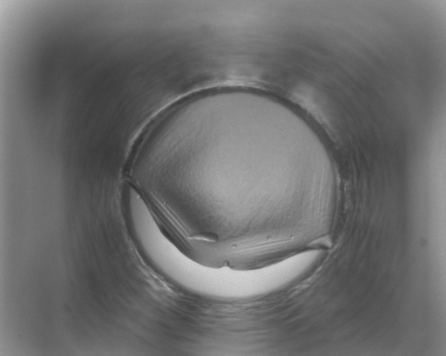 X0000070171260200606231912