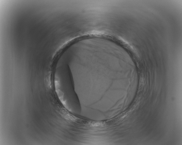 X0000070171262200606231911