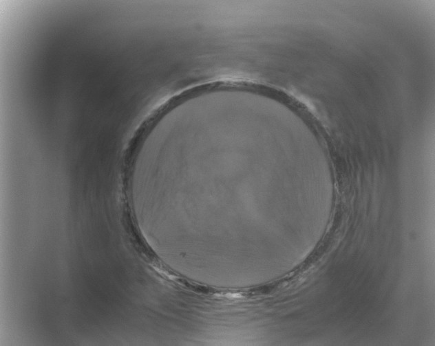 X0000070171263200606231911