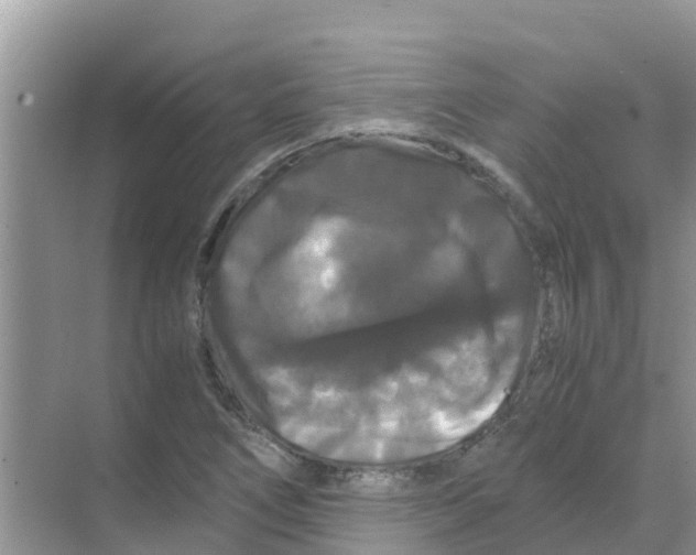 X0000070171266200606231911