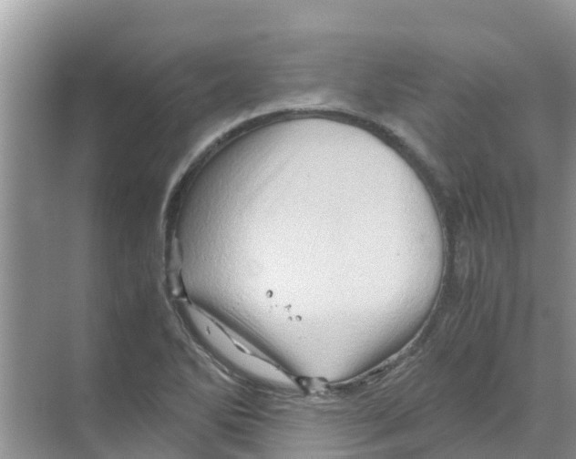 X0000070171270200606231911