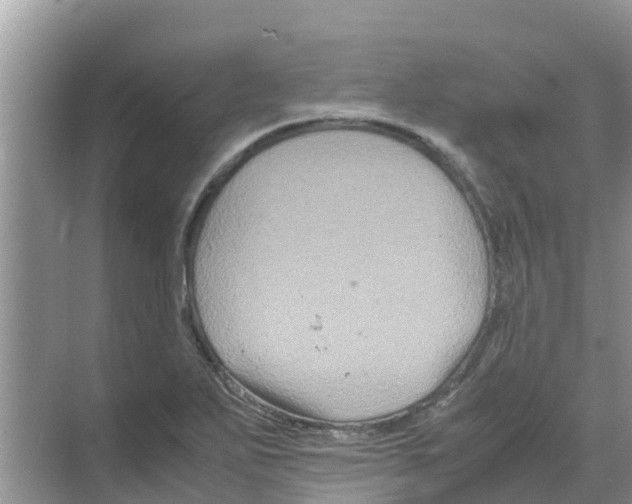 X0000070171271200606231911