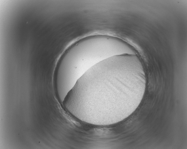 X0000070171272200606231911