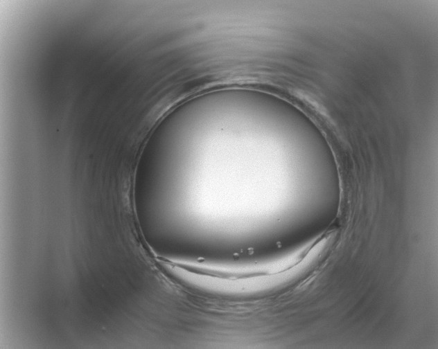 X0000070171273200606231911