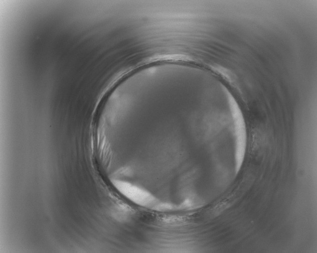 X0000070171274200606231911