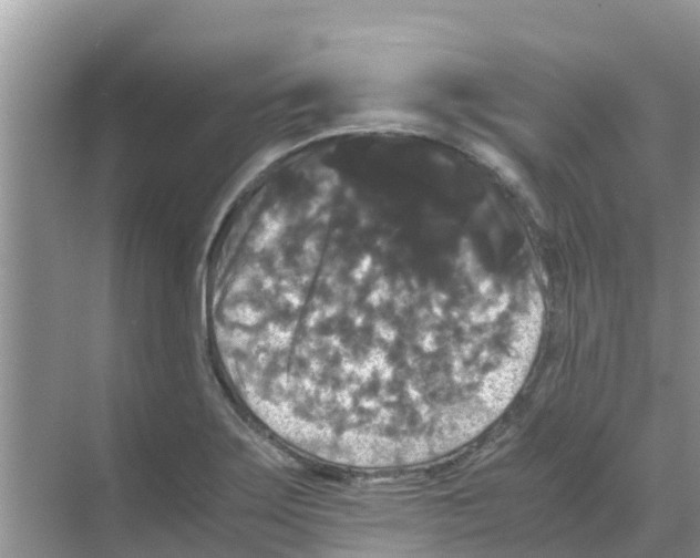 X0000070171275200606231911