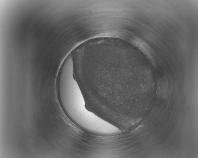 X0000070171276200606231911