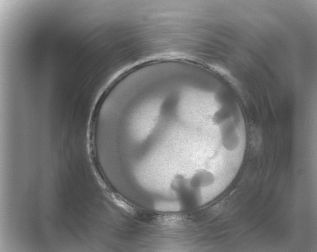 X0000070171278200606231911