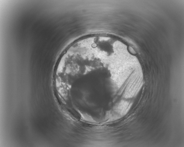 X0000070171279200606231911