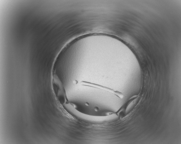 X0000070171280200606231911