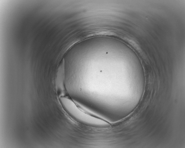 X0000070171281200606231911