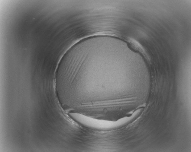 X0000070171284200606231911