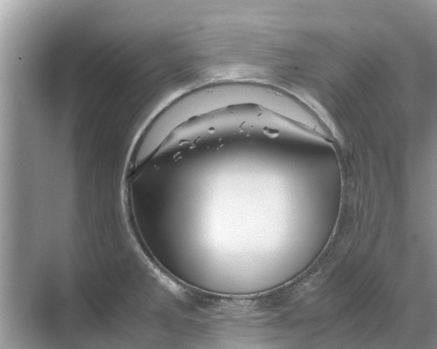 X0000070171285200606231911