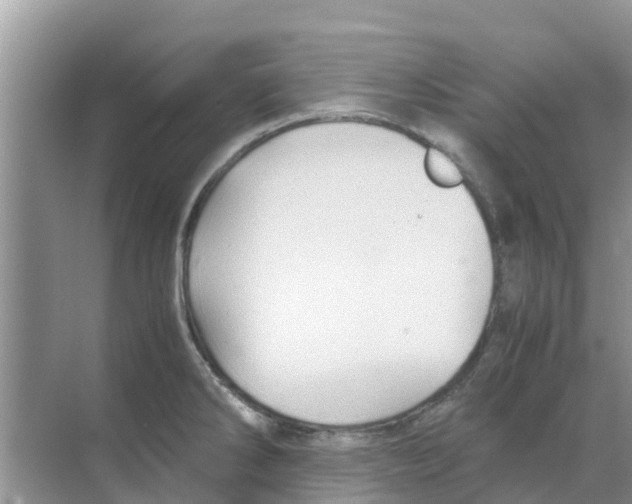 X0000070171286200606231911