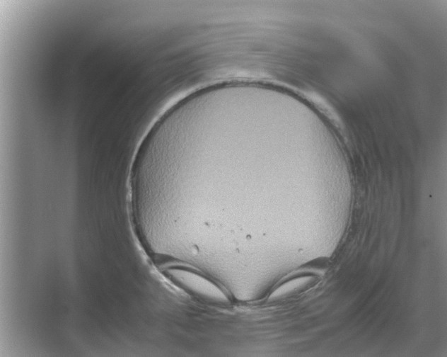 X0000070171287200606231911