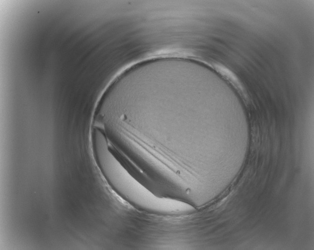 X0000070171288200606231911