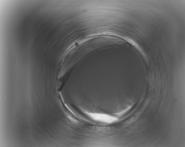 X0000070171289200606231911