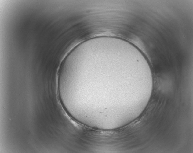 X0000070171290200606231911