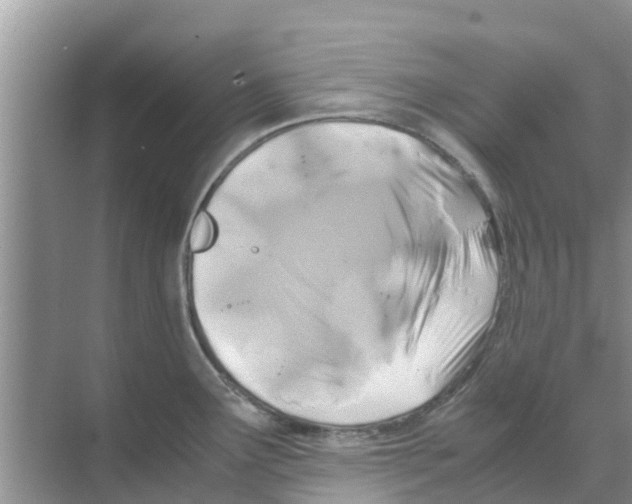 X0000070171291200606231911