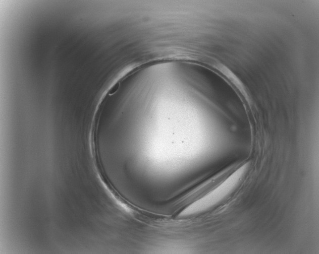 X0000070171293200606231911