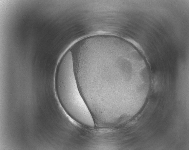 X0000070171294200606231911