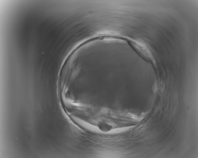 X0000070171295200606231911