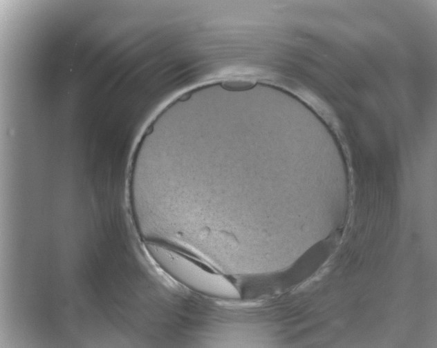 X0000070171296200606231911