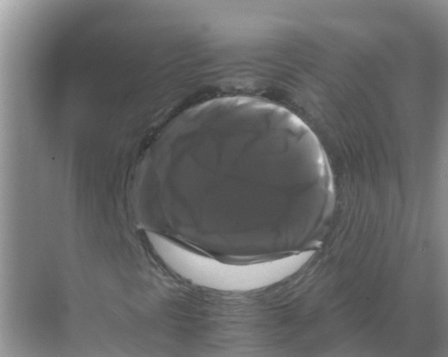 X0000070171297200606231910