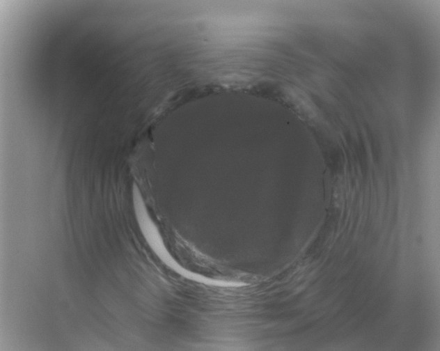 X0000070171298200606231910