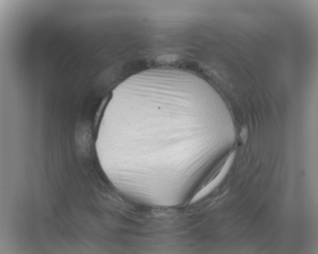 X0000070171299200606231910