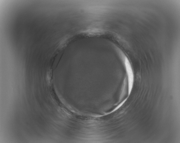 X0000070171300200606231910