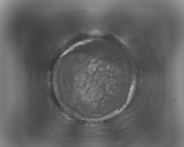 X0000070171301200606231910