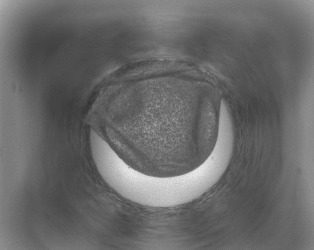 X0000070171302200606231910