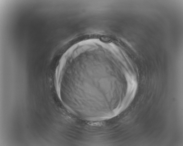 X0000070171303200606231910