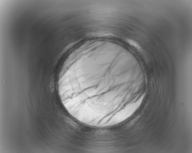 X0000070171306200606231910