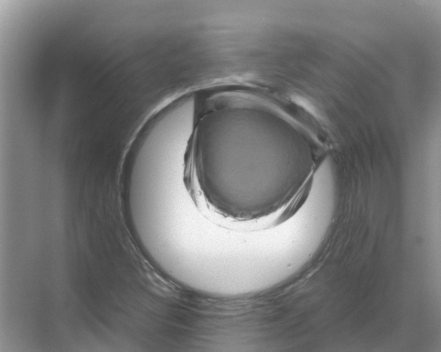 X0000070171308200606231910