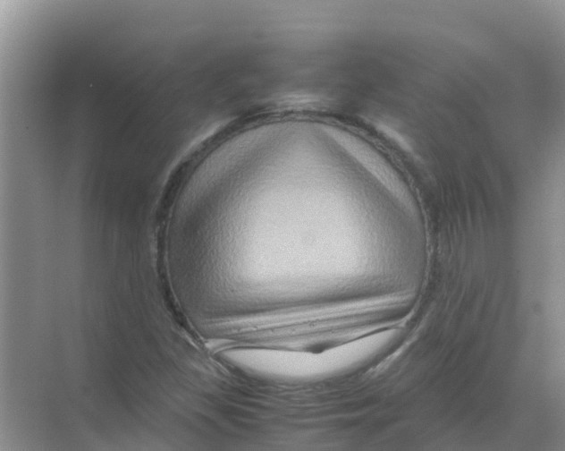 X0000070171309200606231910