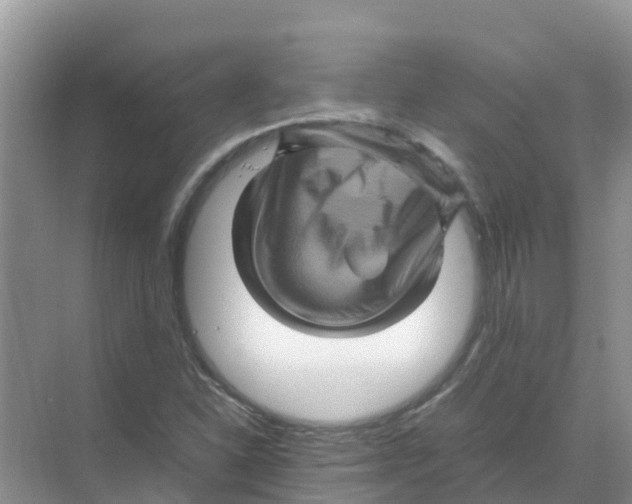 X0000070171310200606231910