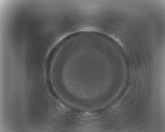 X0000070171311200606231910