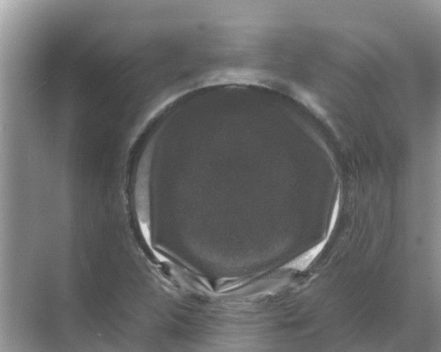 X0000070171312200606231910