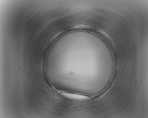 X0000070171313200606231910