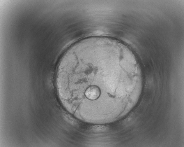 X0000070171314200606231910