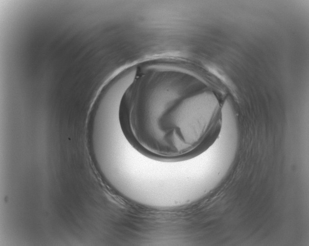 X0000070171316200606231910