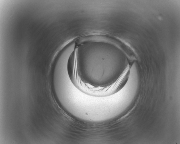 X0000070171317200606231910